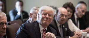 Eine neue Art von Kabinettstreffen: US-Präsident Donald Trump 