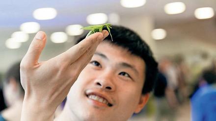 Lässt sich sehen: Biologinnen und Biologen zeigen, welche Vielfalt die Evolution hervorgebracht hat und wie Menschen von der Natur lernen können.