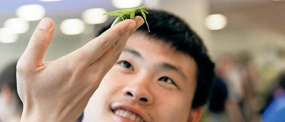 Lässt sich sehen: Biologinnen und Biologen zeigen, welche Vielfalt die Evolution hervorgebracht hat und wie Menschen von der Natur lernen können.