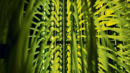 Glasfaserkabel zur Übertragung von Hochgeschwindigkeitsinternet.