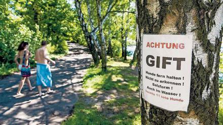 Mit solchen Hinweisen warnten Anwohner des Tegeler Sees vor möglichen Giftködern, die Kinder und Tiere gefährden könnten.
