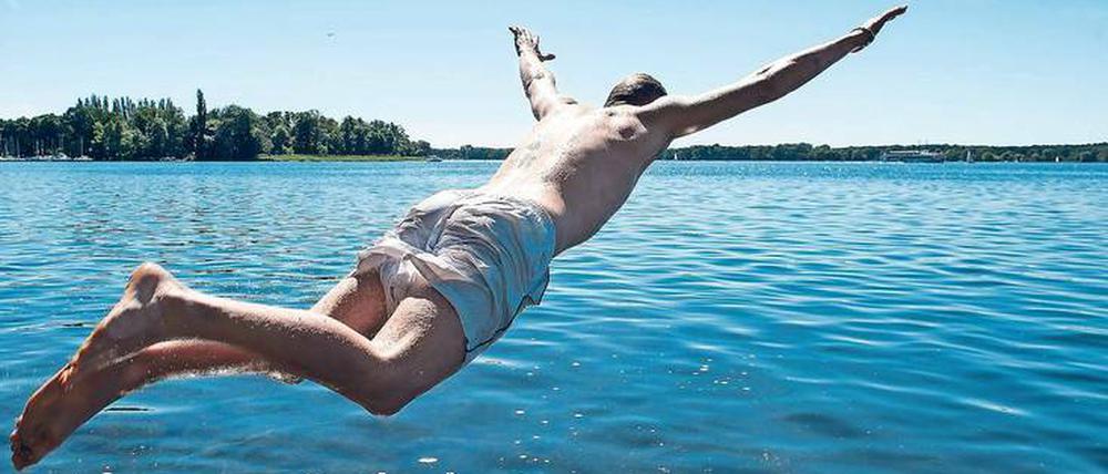 Absprung. Und platsch, hinein in die seidig-kühlen Fluten der Berliner und märkischen Seen, hier am Tegeler See. Jessica J. Lees Buch ist die perfekte Lektüre für Schwimmbegeisterte. 