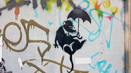 Eine fliegende Ratte sprühte er in der Dircksenstraße in Mitte.