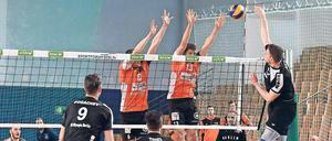 Sprungbrett. Für Junioren-Nationalspieler wie Maximilian Auste (rechts) ist der VCO der Start auf dem Weg nach oben.