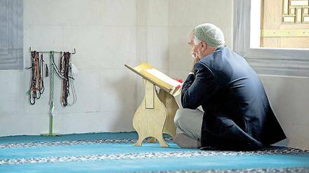Streitfrage. Muss die HU „konservativ“ ausbilden, damit die Moscheen ihre Absolventen einstellen?