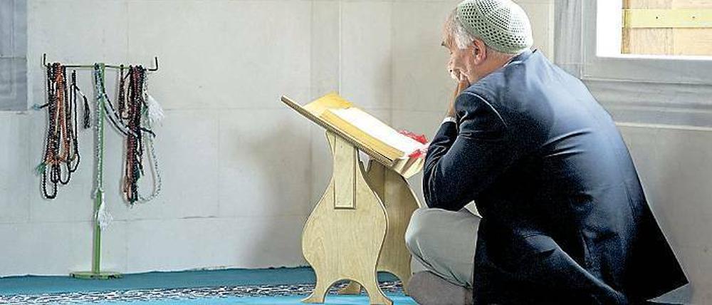 Streitfrage. Muss die HU „konservativ“ ausbilden, damit die Moscheen ihre Absolventen einstellen?