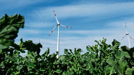 Windräder als Naturidyll, aber was, wenn Zugvögel zwischen die Rotoren geraten? 