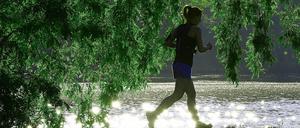 Solche Bilder laufen immer gut. Ein Morgenlauf an der Spree in Berlin. 