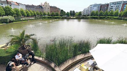 Das Schilf im Engelbecken wächst dort aber ungezügelt und macht der Wasserpumpe Probleme.