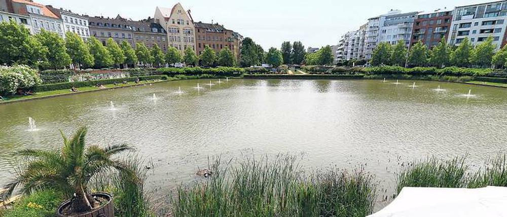 Das Schilf im Engelbecken wächst dort aber ungezügelt und macht der Wasserpumpe Probleme.
