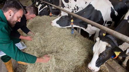 Eine Frage der Haltung: Viele Verbraucher wollen Produkte aus der Region oder von Biohöfen.