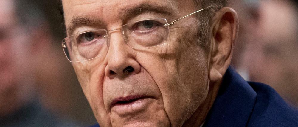 US-Handelsminister Wilbur Ross bei einer Senatsanhörung im Januar in Washington.