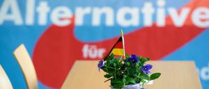 Wie sollen Demokraten mit der AfD umgehen?