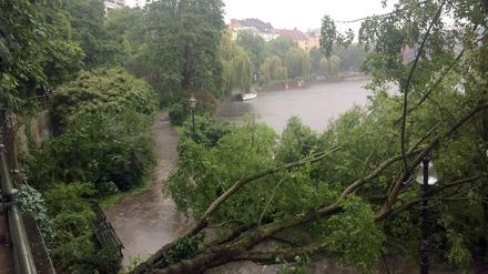 Entwurzelte Bäume nach dem Unwetter am Donnerstag am Spreeufer in Moabit.