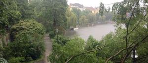 Entwurzelte Bäume nach dem Unwetter am Donnerstag am Spreeufer in Moabit.
