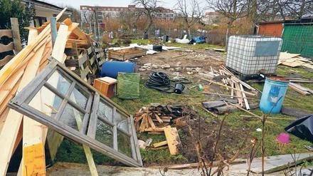 In Schmargendorf mussten große Teile der Kleingartenkolonie Oeynhausen einem Bauprojekt weichen.