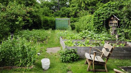 Das Privatparadies. Bis zu 14.000 Euro Abstand kann eine Gartenparzelle kosten, wenn man sie von einem ausscheidenden Vereinsmitglied übernimmt. Es gib viel mehr Bewerber als Angebote. 