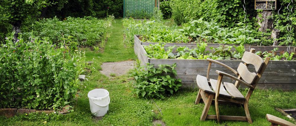 Das Privatparadies. Bis zu 14.000 Euro Abstand kann eine Gartenparzelle kosten, wenn man sie von einem ausscheidenden Vereinsmitglied übernimmt. Es gib viel mehr Bewerber als Angebote.