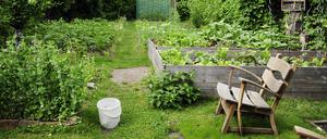 Das Privatparadies. Bis zu 14.000 Euro Abstand kann eine Gartenparzelle kosten, wenn man sie von einem ausscheidenden Vereinsmitglied übernimmt. Es gib viel mehr Bewerber als Angebote. 