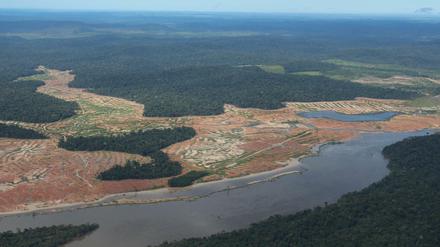 Gerodete Waldflächen am Rande des Juruena-Nationalpark im Amazonas-Regenwald in Brasilien.