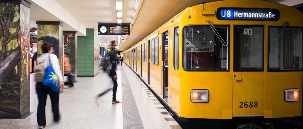 Der Senat überlegt, die U8 von der Hermannstraße nicht nur bis Wittenau sondern bis ins Märkische Viertel fahren zu lassen.