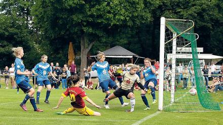 Die Nummer eins im Norden. Hohen Neuendorf hat vom Rückzug des 1. FC Lübars profitiert und die beste Platzierung der Vereinsgeschichte erreicht. 