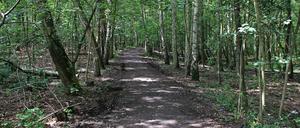 Durch diesen Wald müssen die Gehbehinderten auf dem Weg zum Supermarkt.