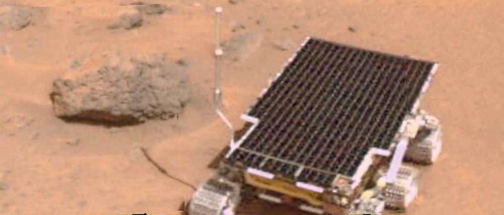 Unwirtlich. Bakterien mögen Marsboden nicht, den der Rover mitbrachte.