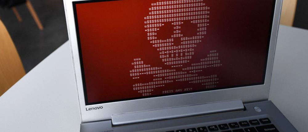 Die Erpressersoftware Petya verschlüsselt Computerdaten, die Folgen spüren Kunden inzwischen sogar im Supermarkt. Foto: Donat Sorokin/TASS  
