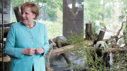 Kanzlerin Merkel im Zoo in Berlin bei der Eröffnung der neuen Anlage für zwei Pandabären aus China.