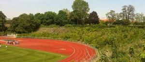 Stadion Wilmersdorf, Heimat der Störche, des BSV 92. Die Ränge des Stadions bestehen aus Kriegstrümmern und sind heute bewachsen.