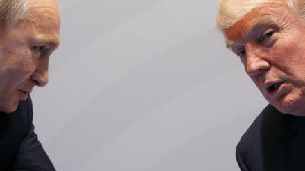 Wo hätten sie sich sonst treffen sollen? US-Präsident Donald Trump (rechts) und der russische Präsident Wladimir Putin beim G 20.