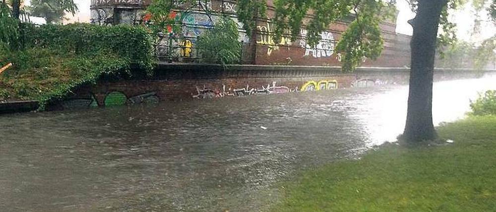 Übergeschwappt. Die Panke in Wedding ist nicht gerade als reißender Fluss bekannt. Beim kürzlichen Unwetter zeigte sich aber, wie viel Wasser fließen kann.