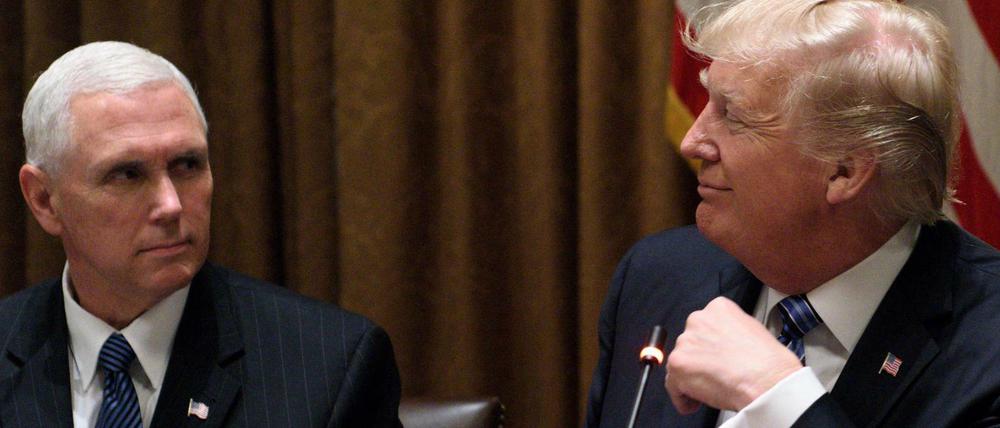 Parteifreunde: US-Präsident Donald Trump und Vizepräsident Mike Pence.