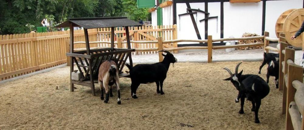 Der umgestaltete Streichelzoo im Berliner Zoo heißt jetzt „Hans im Glück“.