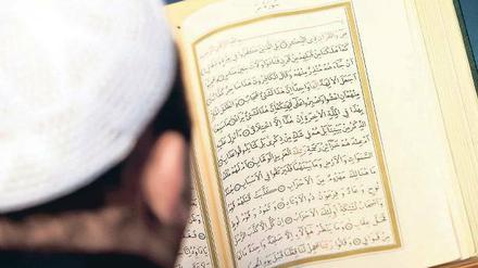 Gelesen. Eine Professur für Koranexegese an der HU ist gesetzt. 