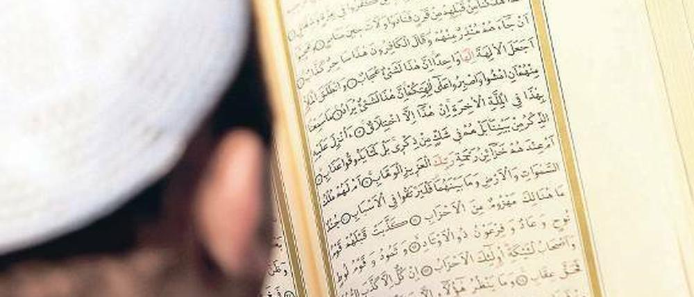 Gelesen. Eine Professur für Koranexegese an der HU ist gesetzt.