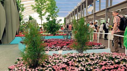 Eine der wenigen regenfeste Attraktionen ist die Blumenhalle.