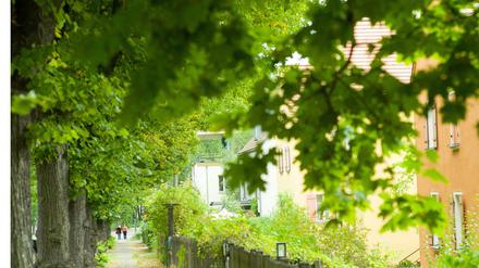 Die Gartenstadt Falkenberg wird wegen ihrer bunten Häuser auch Tuschkastensiedlung genannt und gehört seit Juli 2008 in die UNESCO-Liste des Weltkulturerbes.