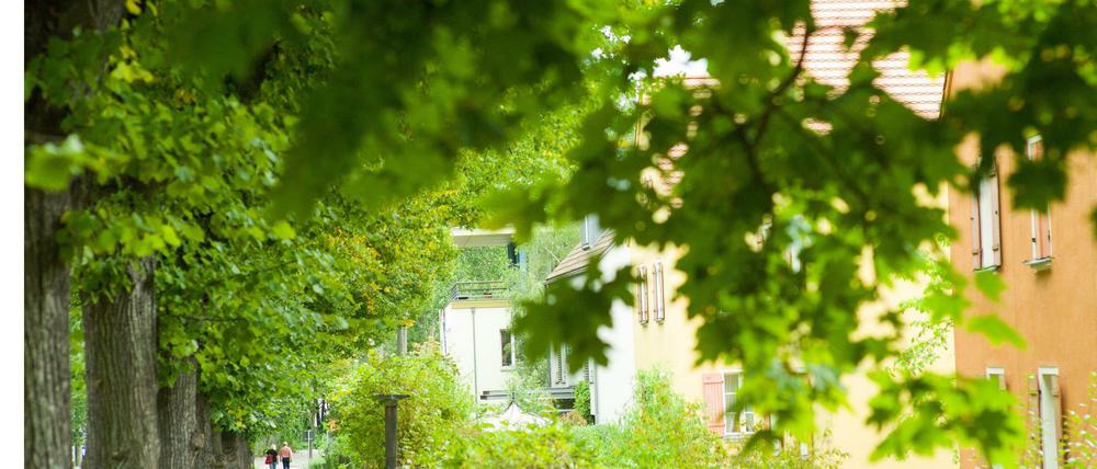 Die Gartenstadt Falkenberg wird wegen ihrer bunten Häuser auch Tuschkastensiedlung genannt und gehört seit Juli 2008 in die UNESCO-Liste des Weltkulturerbes.
