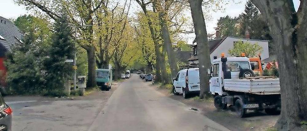Ein Problem, keine Lösung. Der Abwasserkanal wird gebaut. Folge: Die Bäume müssen weg. Eine korrekte Straße soll entstehen und zwei Bürgersteige.