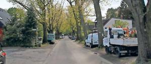 Ein Problem, keine Lösung. Der Abwasserkanal wird gebaut. Folge: Die Bäume müssen weg. Eine korrekte Straße soll entstehen und zwei Bürgersteige.
