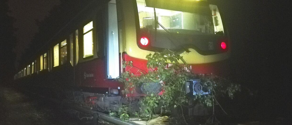 Die S-Bahn prallte gegen den Baum.
