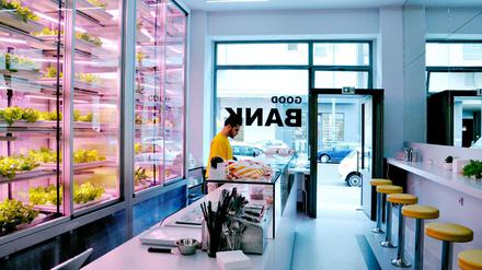 Gelbe Stühle, rosa LEDs. In den Glaskästen im Restaurant Good Bank wachsen Salate.