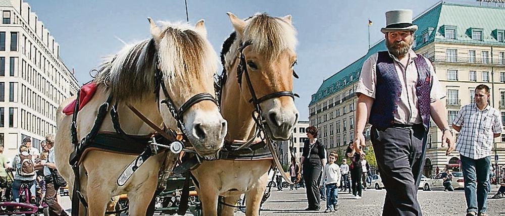 Eine Pferdekutsche in Berlin-Mitte 