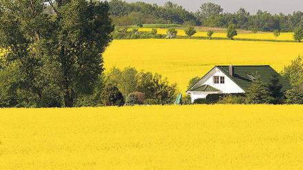 Landluft macht glücklich. Vor allem, wenn man nicht nur zu Besuch in der Natur ist, sondern dort ein Haus sein eigen nennen darf. 