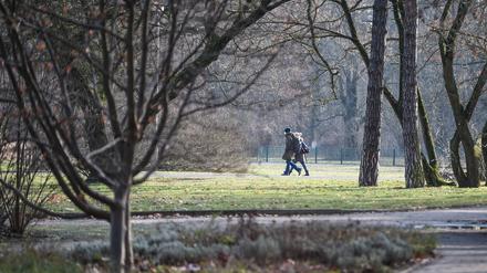 Im Tierpark Berlin sind nur noch wenige Besucher unterwegs. Der Tierpark ist mit 160 Hektar Fläche der größte Landschaftstierpark in Europa. Zu seinem Bestand zählen fast 8000 Tiere.