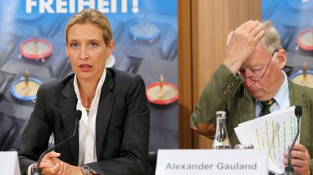 Die Spitzenkandidaten Alice Weidel und Alexander Gauland dürften ihren Arbeitsplatz für die nächsten vier Jahre wohl sicher haben: im Bundestag. 