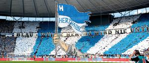Bei Hertha läuft nicht alles rund - doch gerade das macht den Verein liebenswert.