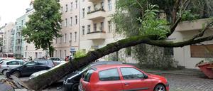 Ein mehr als 20 Meter hoher Baum ist umgestürzt und hat in Neukölln ein Auto unter sich begraben. Der Stamm blockierte die Wissmannstraße. 